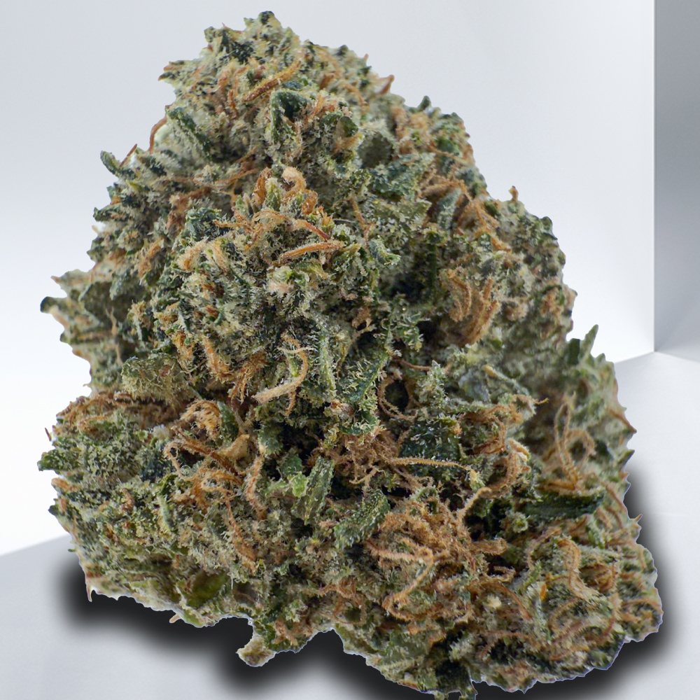 426-Pink-Freeziez.jpg