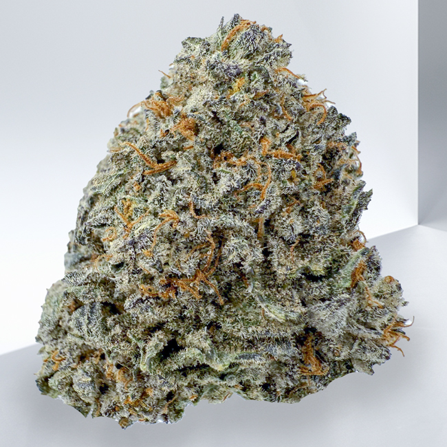 444-DUTCH-PASSION-SATIVA.jpg
